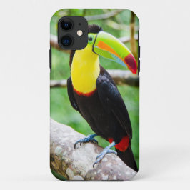 Reizendes Toucan Case-Mate iPhone Hülle