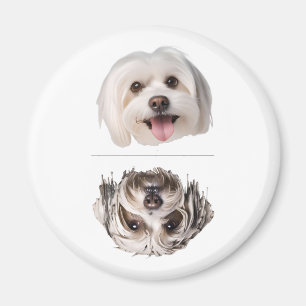 Reizvoller Malteser-Hund Geschirrspüler Rein/Schmu Magnet