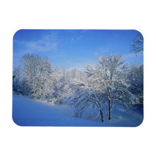 Rekordschnee in Louisville, Kentucky. Magnet