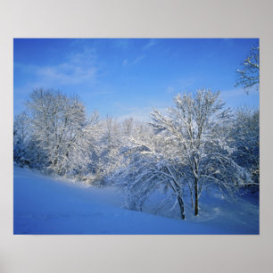 Rekordschnee in Louisville, Kentucky. Poster