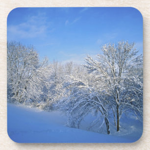 Rekordschnee in Louisville, Kentucky. Untersetzer