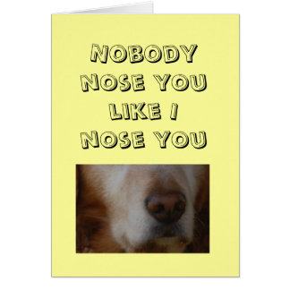 Relation/Rencontre - Personne ne vous aime le nez