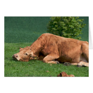 Relax, La vie est trop courte