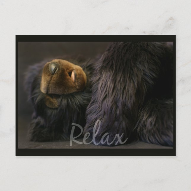 Relax Postkarte mit Schlafbär (Vorderseite)