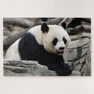 Relaxen Riesenpanda, Puzzle