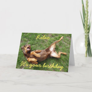 Relaxing doberman dog karte