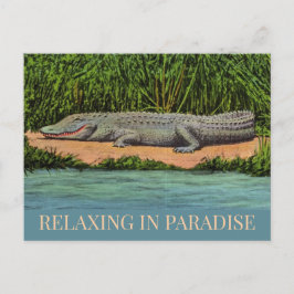 Relaxte Florida Gator Postkarte