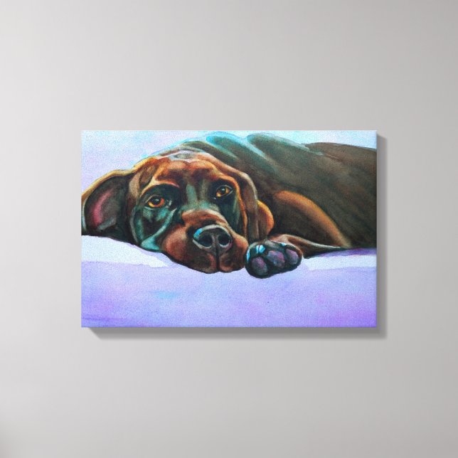 Relaxter Schokolade-Labrador Leinwanddruck (Vorderseite)