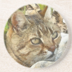 Relaxter Tabby Cat Ruhigen im Garten Stift Getränkeuntersetzer