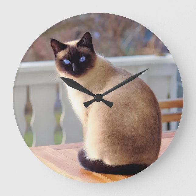 Reloj de gato siamés große wanduhr (Vorderseite)