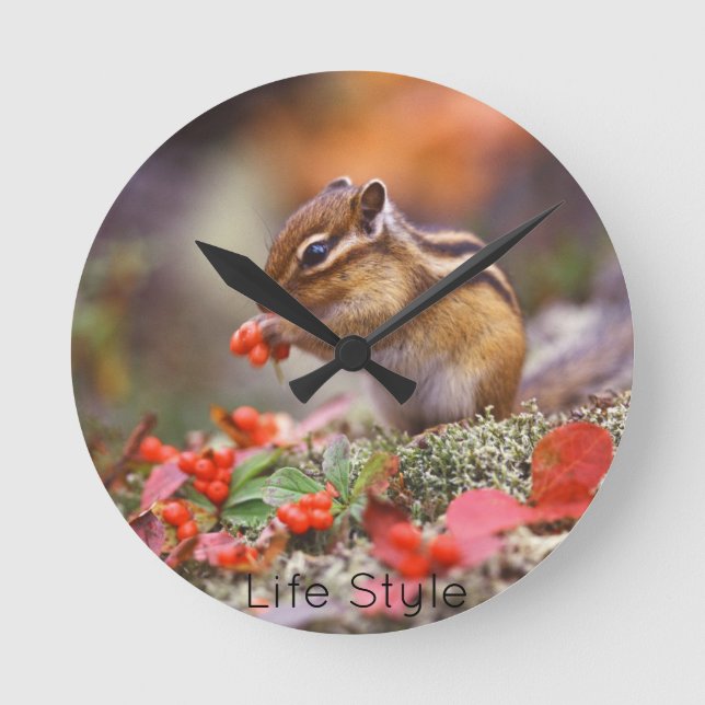 Reloj de pared Chipmunk Runde Wanduhr (Vorderseite)