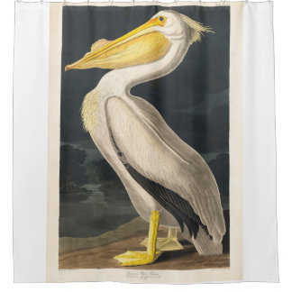 Remastastated Audubon American White Pelican Duschvorhang