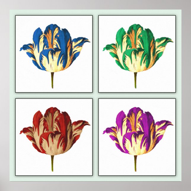 Rembrandt Tulip Pop Art Poster Print (Vorne)