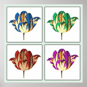 Rembrandt-Tulpe-Pop-Kunst-Plakat-Druck Poster