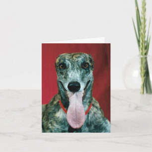 Remerciements Abri de la carte de délivrance de chien de lévrier