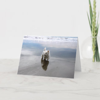 Remerciements Beach Westie Réflexion Photo Carte de voeux