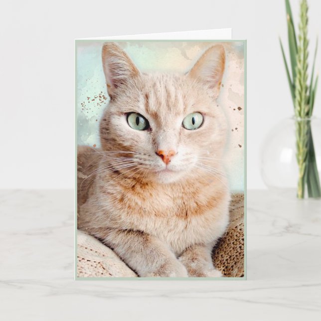 Remerciements Belle Carte de voeux Tabby Cat (Devant)