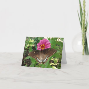 Remerciements Black Tiger Swallowtail sur Zinnia Carte de remerc