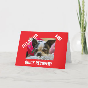 Remerciements BOSTON TERRIER obtenir carte de puits