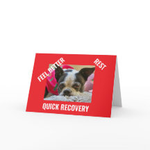 BOSTON TERRIER obtenir carte de puits