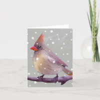 Cardinal féminin d'hiver en Snow BLANK Carte de vo
