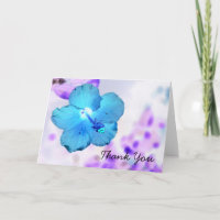 Carte bleue sauvage de ~ de ketmie