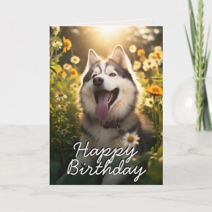 Remerciements Carte d'anniversaire de malamute en Alaska personn