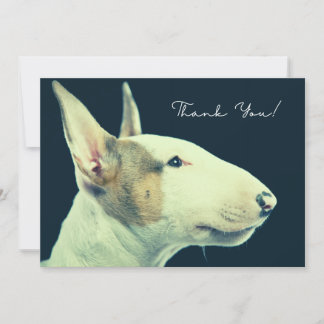 Remerciements Carte de Bull Terrier