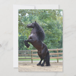 Remerciements Carte de cheval noir