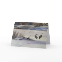 Carte de Grues de Sibérie, Steamboat Springs, Co
