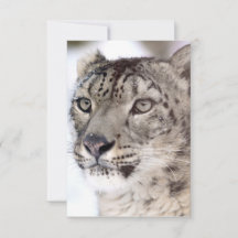 Carte de Noël au léopard des neiges