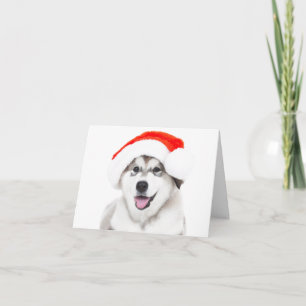 REMERCIEMENTS CARTE DE NOËL CHIOT HUSKY AVEC UN CHAPEAU DE PÈRE 