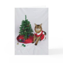 Carte de Noël décorative Père Noël Tree