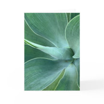 Carte de note blanche Agave