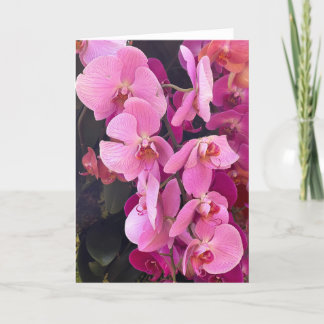Remerciements Carte de note blanche pour les orchidées