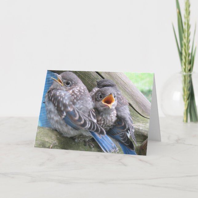 Remerciements Carte de note Bluebird (Devant)