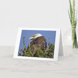 Remerciements Carte de note climatique Nature