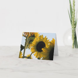 Remerciements Carte de note de tournesol