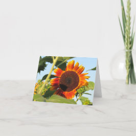 Remerciements Carte de note de tournesol Blade