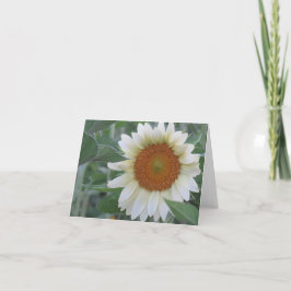 Remerciements Carte de note de tournesol blanc frappant