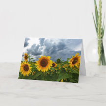 Carte de note en blanc sur la tempête de tournesol