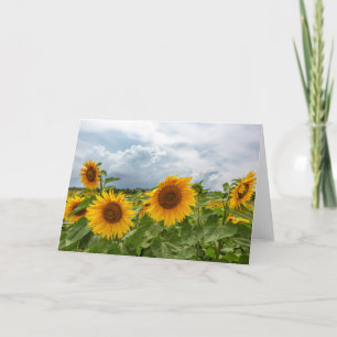 Remerciements Carte de note en blanc sur la tempête de tournesol