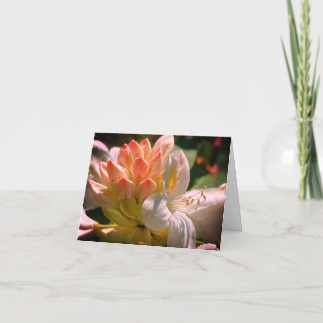 Remerciements Carte de note personnalisable White Azalea Flower (Devant)