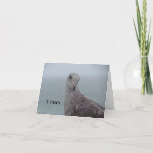 Remerciements Carte de note Pigeon "Hi There"