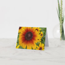 Carte de note pliée Sunset Daisy