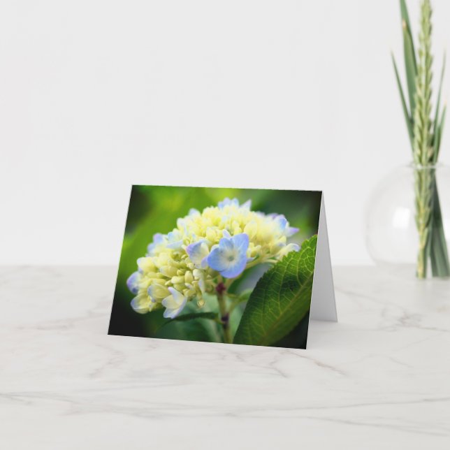 Remerciements Carte de note souple bleue Hydrangea Flower Blt (Devant)