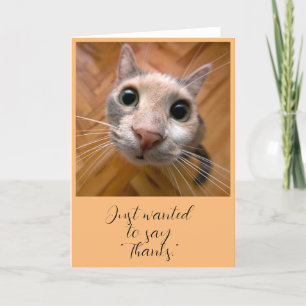 Remerciements Carte de remerciement Chat roux