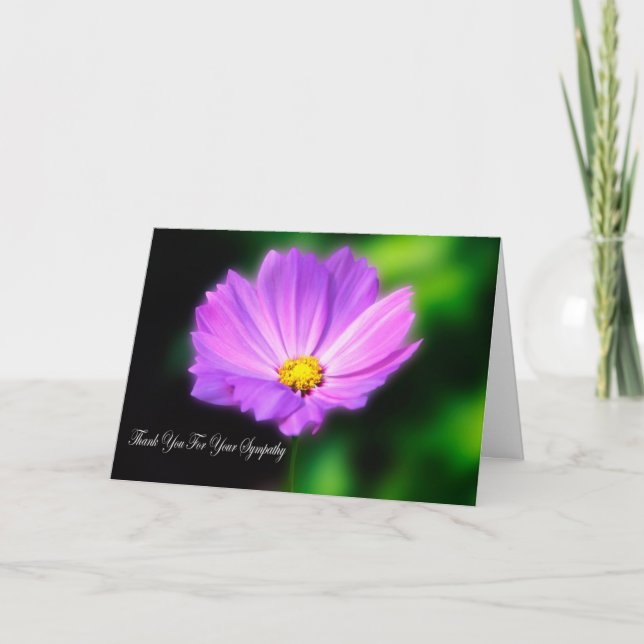 Remerciements Carte de remerciement de sympathie Purple Cosmos (Devant)