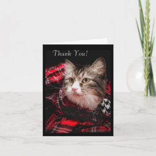 Remerciements Carte de remerciement d'un Amoureux des chats
