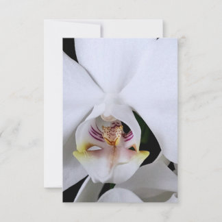 Remerciements Carte de remerciement fleur d'orchidée blanche
